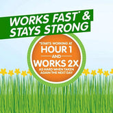 Zyrtec Allergy 10 mg Liquid Gels 40 Liquid Gels